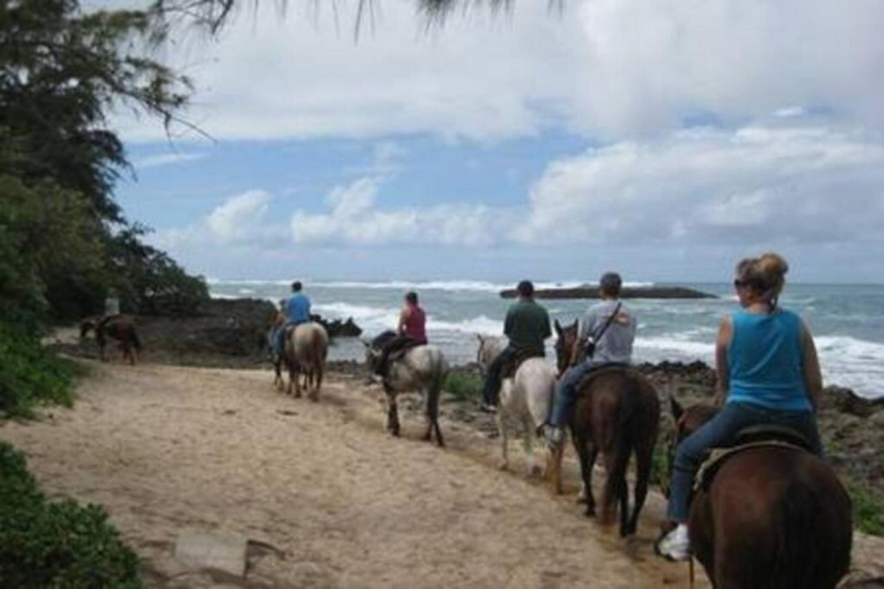 Villa The Perfect Family Destination à Kahuku Extérieur photo